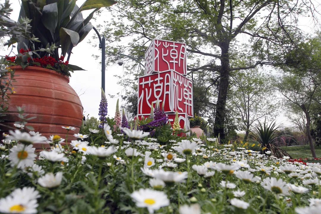 亂花漸欲迷人眼，全新西溪花朝節(jié)展覽活動(dòng)與你來(lái)一場(chǎng)春天的約會(huì)