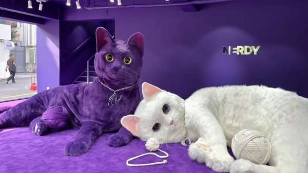 Nerdy首爾巨喵快閃店活動策劃瞬間點燃你的少女心