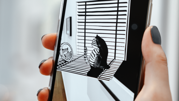 「有貓病」關(guān)于貓的奇怪個展活動策劃是既奇趣溫暖又無厘頭的想象空間