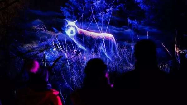 看，白雪季節(jié)的燈光秀活動策劃的主角是一群夜行動物，真美