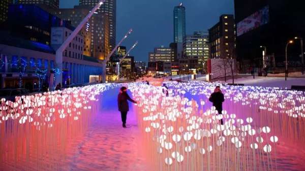 28000個白色水晶莖的燈光秀展覽活動，反思人類與自然環(huán)境的關(guān)系
