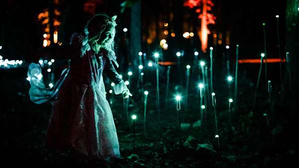 燈光秀藝術(shù)展覽活動(dòng)領(lǐng)我們冬天在沉浸式森林一起漫步，走起！