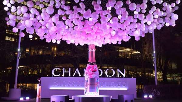 如此觀賞性極強(qiáng)的氣泡櫻花展覽活動(dòng)，不走步一波太對(duì)不住它的美