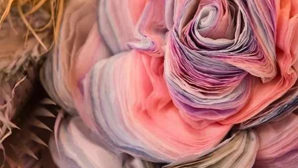 以顏色輕柔的紙層層堆疊并錦簇成花朵的展覽活動，真的驚喜了雙眼