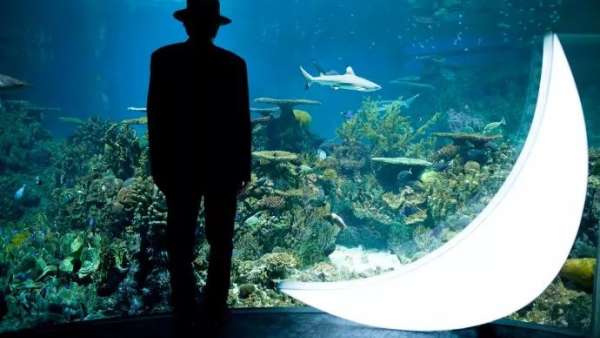 中秋節(jié)的展覽活動藝術裝置創(chuàng)意看這里，中秋節(jié)你就是這條街最靚的“仔”