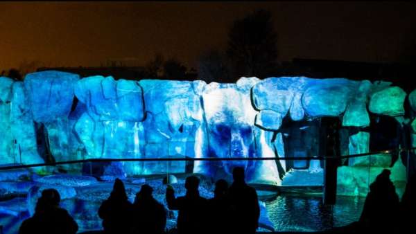 改變城市夜生活的燈光藝術(shù)展覽活動(dòng)邀你來(lái)動(dòng)物園欣賞不一樣的夜景