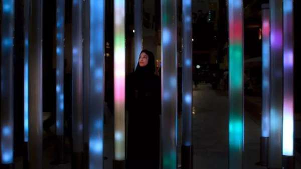 百鳥匯集的沉浸式展覽活動讓人耳目一新，大自然的鳥舍原來如此