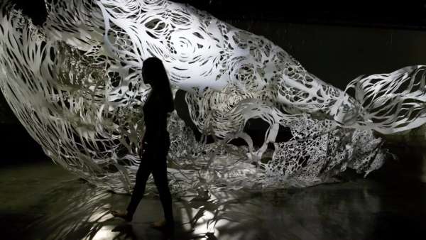 1:1比例的紙雕藝術(shù)展覽活動(dòng)震驚了現(xiàn)場(chǎng)，隱藏之美等你來(lái)悟