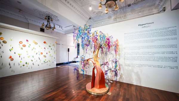 魅力香檳打造限時藝術(shù)快閃展覽活動空間，沉浸式感官體驗更精致