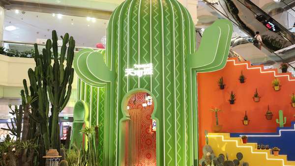 仙人掌主題會展活動帶你“漲姿勢”啦，“仙”境之旅開啟咯