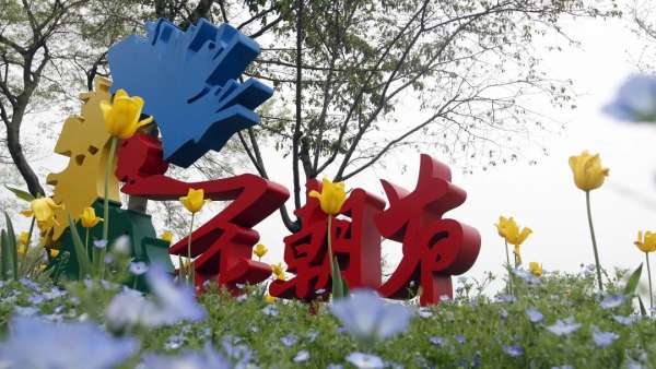 亂花漸欲迷人眼，全新西溪花朝節(jié)展覽活動(dòng)與你來(lái)一場(chǎng)春天的約會(huì)