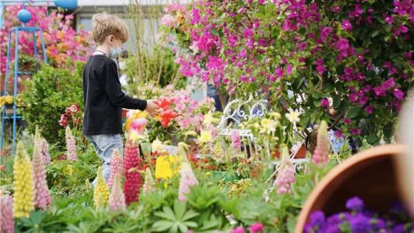 300㎡神仙級的治愈展覽活動已備好，就等你來打卡