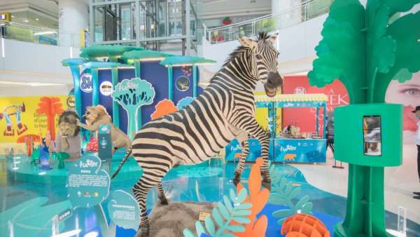 禮遇自然沉浸式展覽活動上，兩只強壯的非洲獅正在打斗，萌趣又吸睛