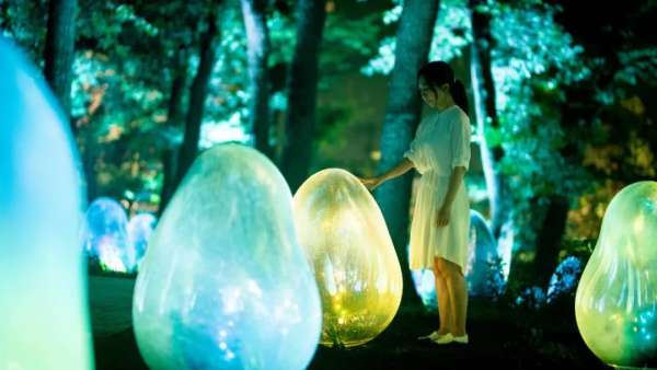 橡子森林被展覽活動(dòng)刷成光之藝術(shù)空間，57種液化光色真美
