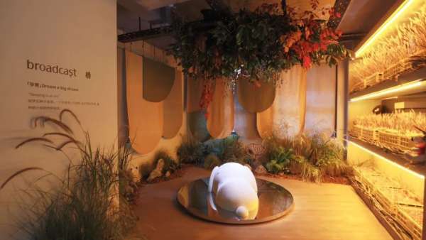 broadcast播x史努比SNOOPY聯(lián)名快閃店活動(dòng)策劃環(huán)保與浪漫兼具