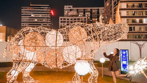 與「閃·森尋光之旅」展覽活動(dòng)策劃的奇珍異獸同追尋萬(wàn)物之源