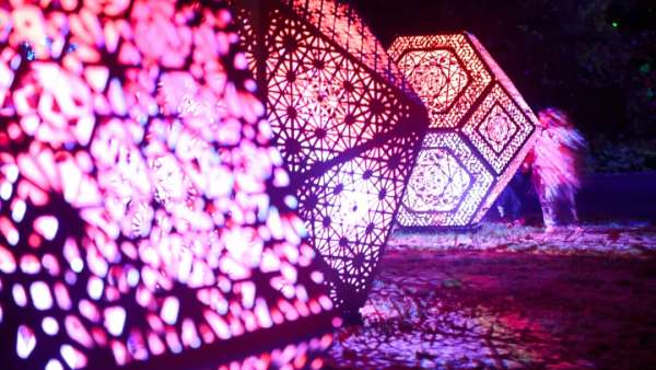 新普利茅斯燈光節(jié)活動(dòng)策劃將Pukekura公園變成了光影世界，魔幻