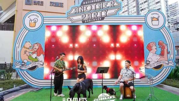 非日常寵物派對(duì)活動(dòng)策劃開播了，5大寵物玩樂區(qū)域嗨翻天了