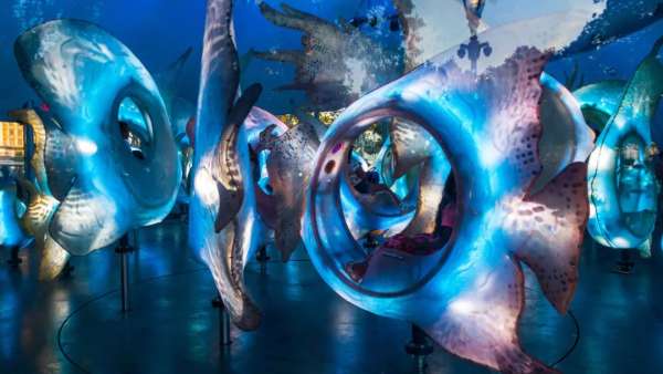 SeaGlass Carouse展覽活動(dòng)策劃裝置是29條閃閃發(fā)光的魚，驚呆了