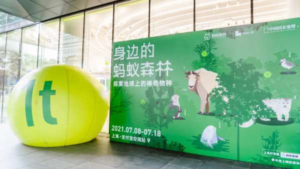 螞蟻森林體驗(yàn)展覽活動(dòng)策劃全方位的沉浸式體驗(yàn)與大自然親密接觸