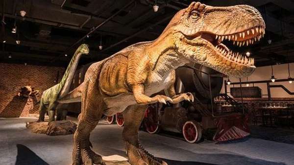 潮流爬寵動(dòng)物主題展覽活動(dòng)策劃的三大沉浸式展區(qū)，讓人直呼過(guò)癮