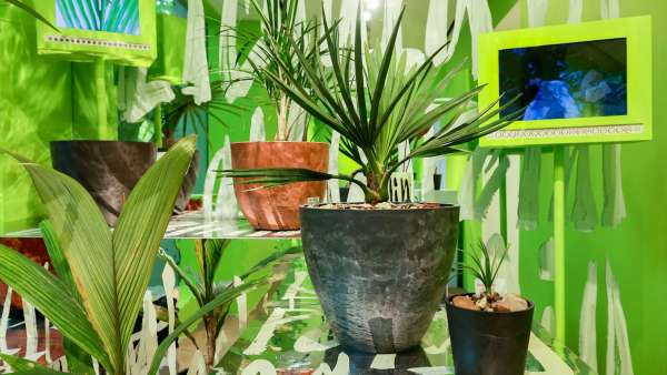 PLANTS HUMAN藝術(shù)展覽活動(dòng)策劃把展廳造成了一個(gè)城市綠洲