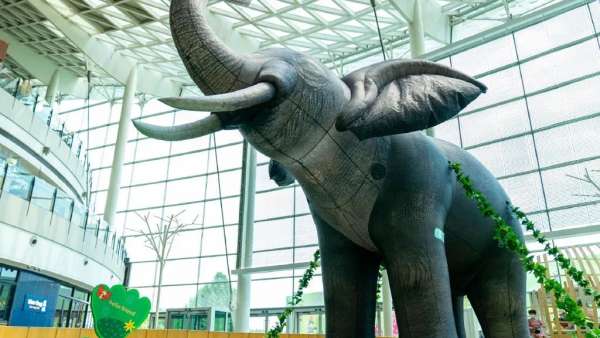 來(lái)「森島動(dòng)物園」夏季美陳活動(dòng)策劃解鎖你的動(dòng)物系生活吧