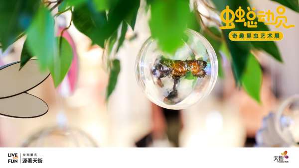 「蟲蟲總動員」奇趣昆蟲藝術(shù)展活動策劃讓你愛上大自然